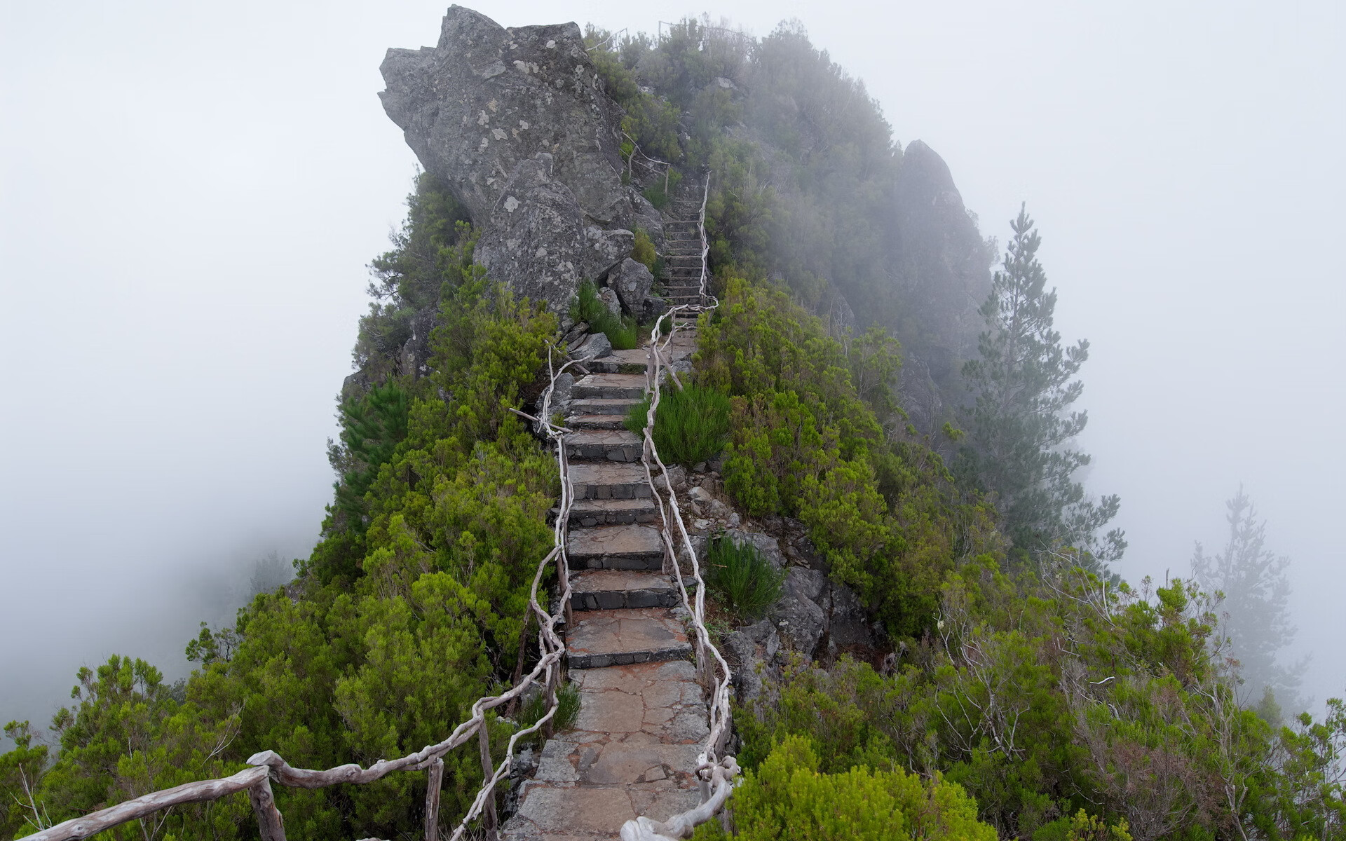 职业篮球教练团队建设，篮球教练方案
