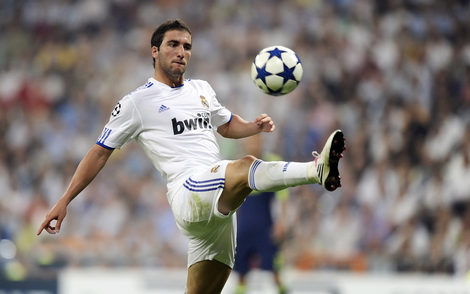 爱游戏app-球迷“自发打造”：最具创意的比赛现场应援风格，篮球个人应援口号