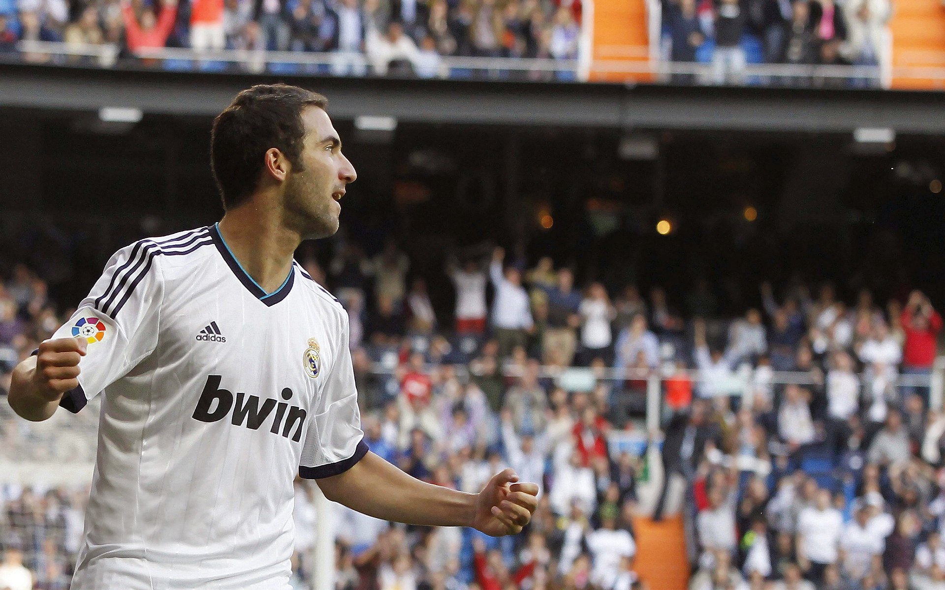 爱游戏体育(AYX)官方APP下载-逆境求生:球队如何在危机中扭转局势,逆境求生的狮群